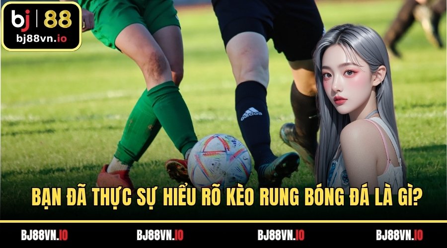 Bạn đã thực sự hiểu rõ kèo rung bóng đá là gì?