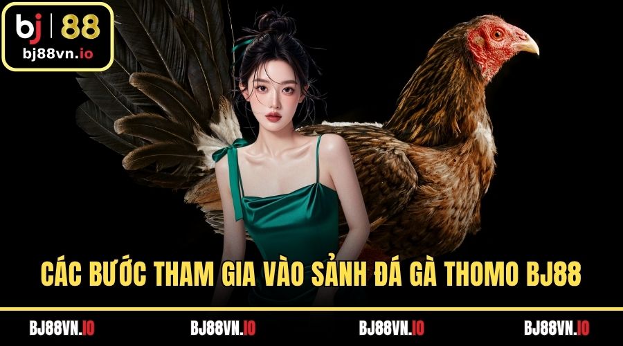 Các bước tham gia vào sảnh đá gà Thomo BJ88