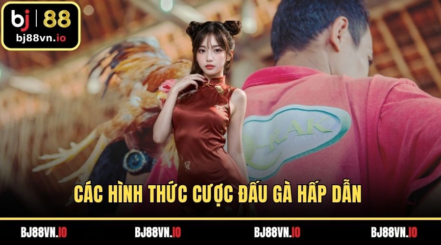 Các hình thức cược đấu gà hấp dẫn