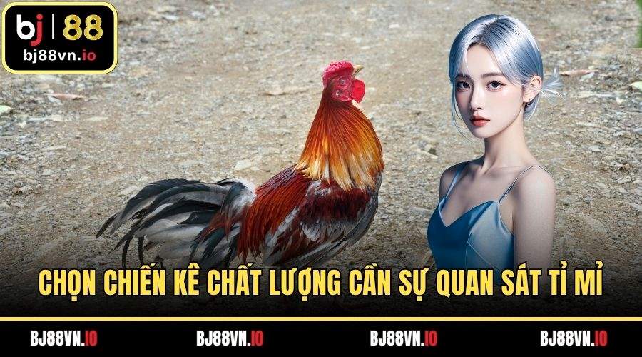 Chọn chiến kê chất lượng cần sự quan sát tỉ mỉ