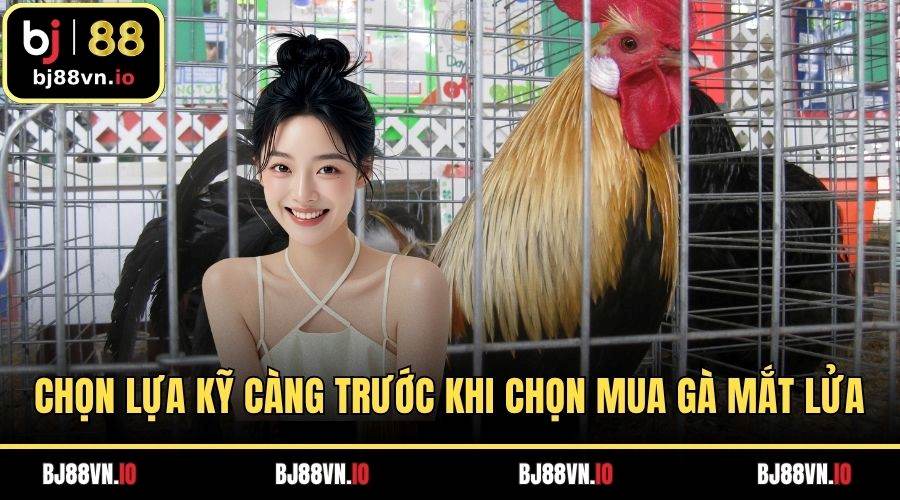Chọn lựa kỹ càng trước khi chọn mua gà mắt lửa