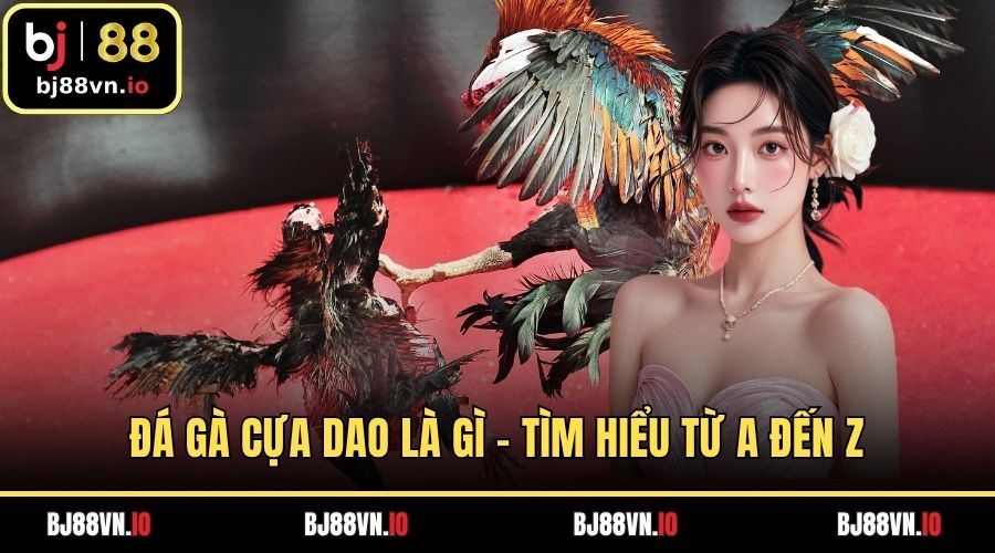 Đá Gà Cựa Dao Là Gì – Tìm Hiểu Từ A Đến Z Thể Thức Đỉnh Cao