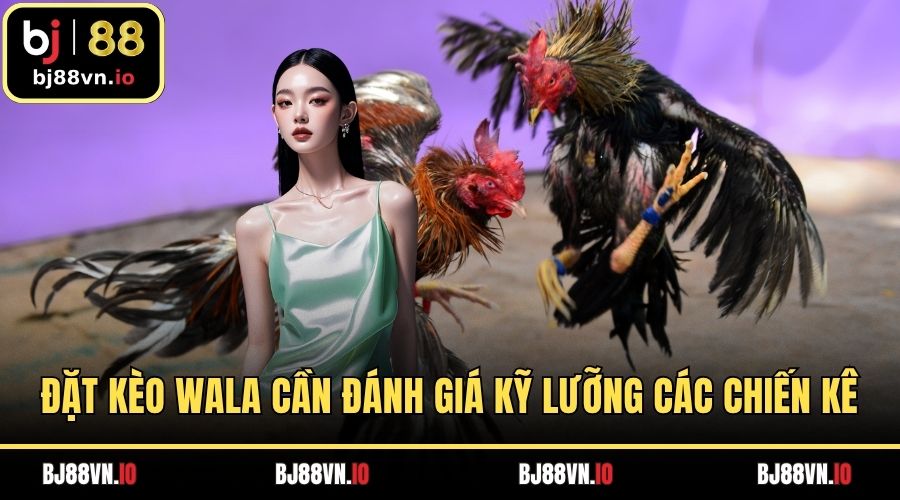 Đặt kèo Wala cần đánh giá kỹ lưỡng các chiến kê