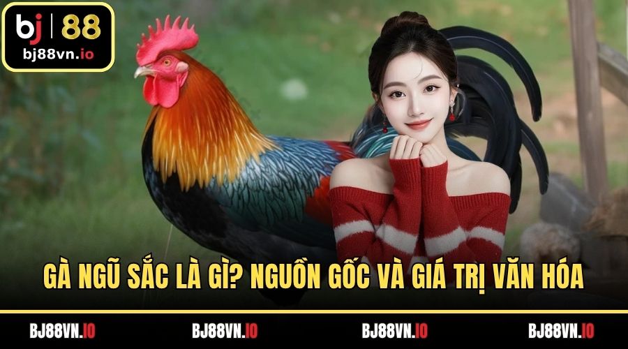 Gà Ngũ Sắc Là Gì? BJ88 Khám Phá Nguồn Gốc Và Giá Trị Văn Hóa