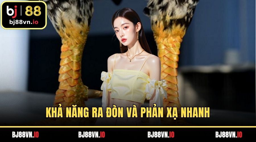 Khả năng ra đòn và phản xạ nhanh của chiến kê vảy song cúc