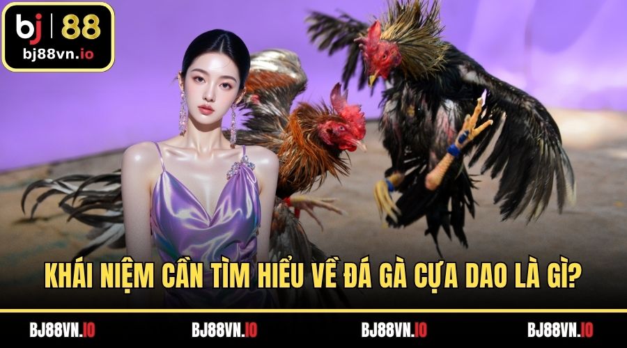 Khái niệm cần tìm hiểu về đá gà cựa dao là gì?