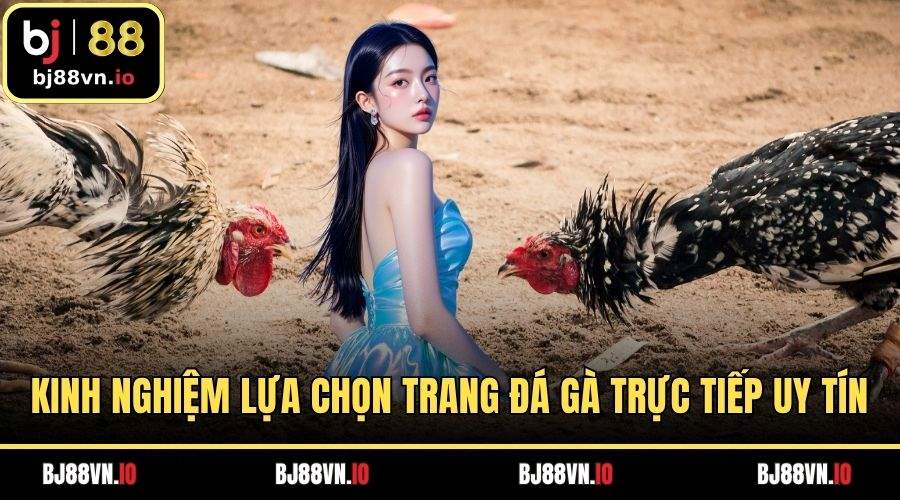 Kinh Nghiệm Lựa Chọn Trang Đá Gà Trực Tiếp Uy Tín Nhất