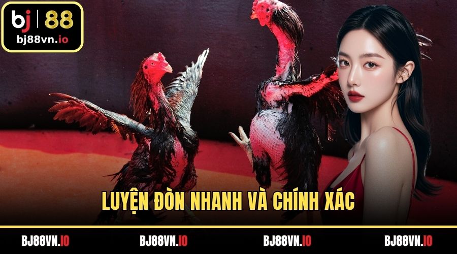 Luyện đòn nhanh và chính xác với đá gà cựa dao là gì?