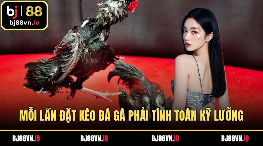 Mỗi lần đặt kèo đá gà phải tính toán kỹ lưỡng