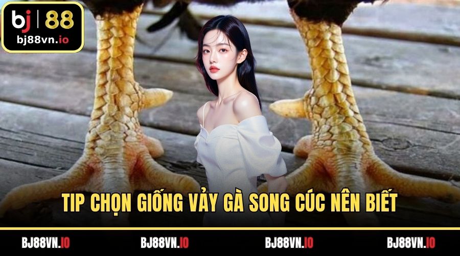 Tip chọn giống vảy gà song cúc nên biết