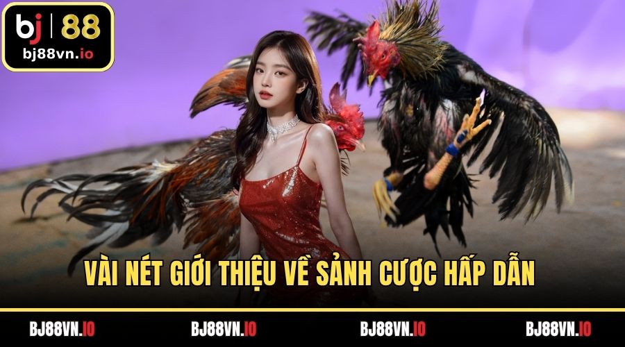 Vài nét giới thiệu về sảnh cược hấp dẫn