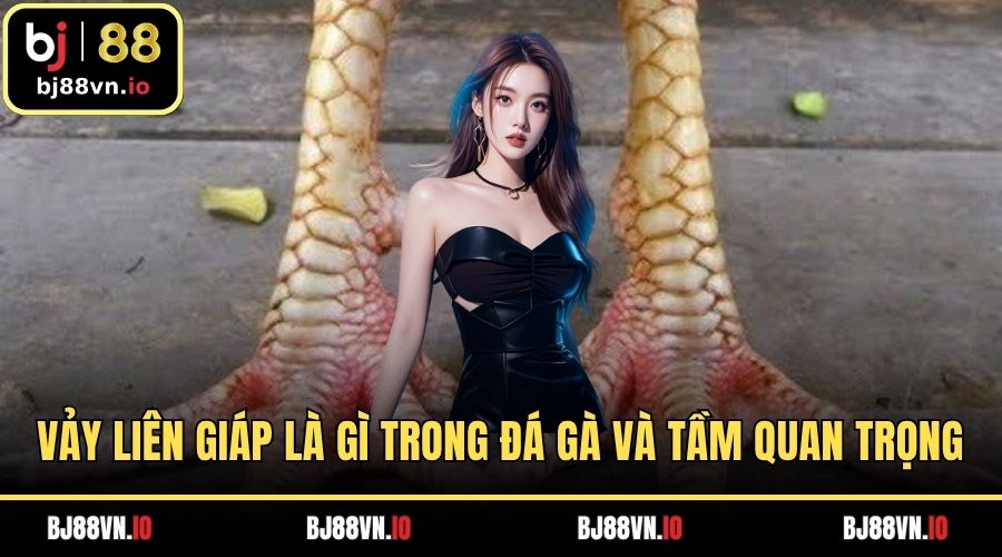 Vảy Liên Giáp Là Gì Trong Đá Gà Và Tầm Quan Trọng
